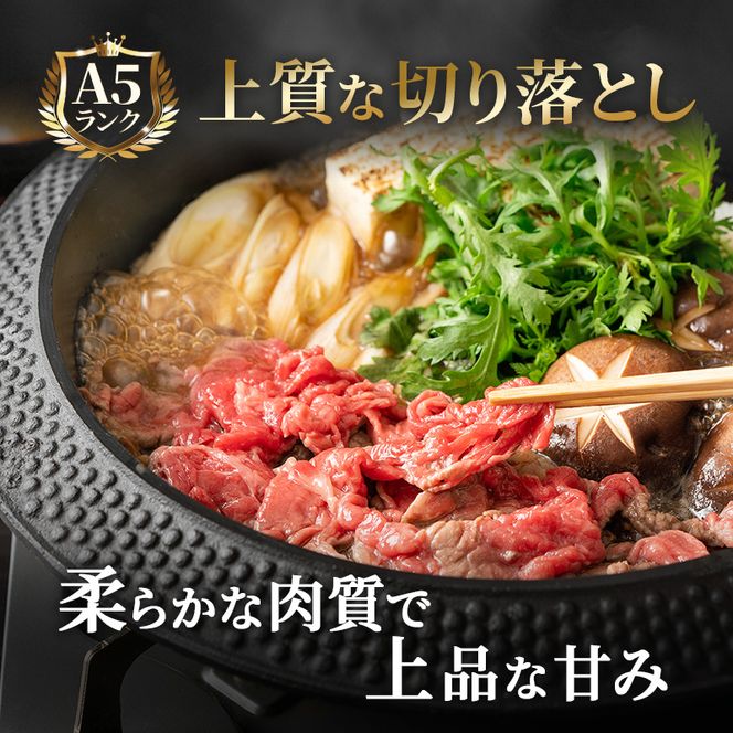 飛騨牛 牛肉 切り落とし 500g×4 計2kg A5 和牛 焼肉 もも肉 モモ バラ カルビ お肉 ブランド和牛 