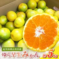 G7097_紀州和歌山有田産 ゆら早生みかん 5kg【ミカン 蜜柑 柑橘 温州みかん わせみかん】