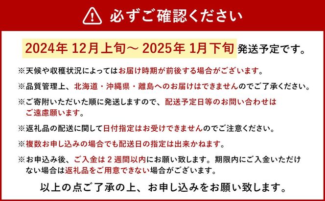 今季初採れあまおう2パック 約500-540g 【数量限定】  いちご 苺 あまおう 果物 くだもの フルーツ 肉厚 ジューシー 初採れ 福岡県産 【2024年12月上旬～2025年1月下旬発送予定】