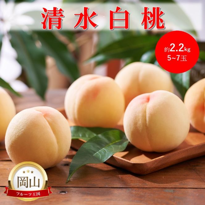 2026年 早期受付 岡山県産 清水白桃 (約2.2kg)5～7玉 桃 白桃 もも 果物 フルーツ
