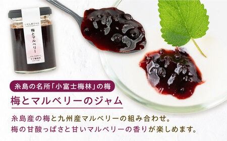 ベジタブル ジャム 詰め合わせ 3個 セット 糸島市 / いとしまジャム [AVF001] ジャム ギフト セット じゃむ 加工品 ソース 瓶 加工品 無添加