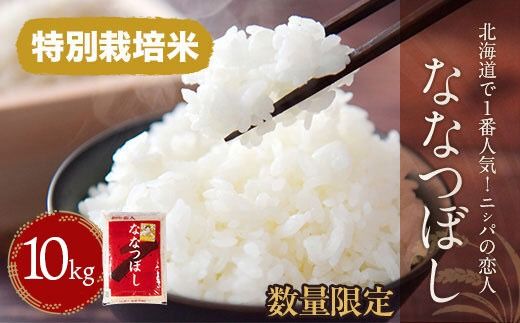 ykC撬zyߘa7NYVāzkCłPԐlCIujVp̗lvȂȂڂ10kgi10kg×1j ӂ邳Ɣ[ lC  LO jVp̗l ȂȂڂ      kC 撬  BRTH014