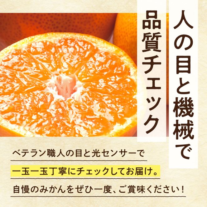 《2026年11月上旬～2027年1月下旬頃に順次発送》【2026年先行予約】厳選 完熟有田みかん約2.5kg+250g（傷み補償分）【光センサー選果】_ZH7122