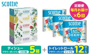 【定期便6回】【毎月お届け】【スコッティ】 組み合わせ ティシュー フラワーボックス 250組 5箱 計30箱 トイレットロール シングル フラワーパック 3倍長持ち 12ロール 計72ロール ティッシュ トイレットペーパー 日用品 ストック 防災備蓄 ストック 備蓄 新生活 防災 消耗品 生活用品 日用消耗品 箱ティッシュ