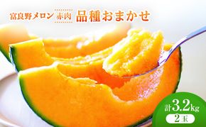 ＜2026年発送＞富良野メロン (赤肉) 品種おまかせ 約1.6kg～/2玉 [ メロン フルーツ 果物 北海道 富良野 ]