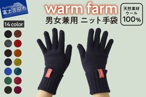 手袋 光吸収発熱ウール 「 ウォームファーム　ニット手袋 」 ブラック 暖かい ウール 発熱素材 レディース メンズ 秋 冬