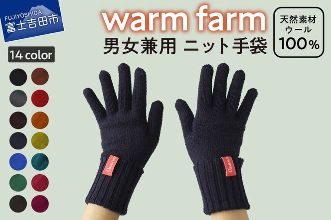 手袋 光吸収発熱ウール 「 ウォームファーム　ニット手袋 」 ブラック 暖かい ウール 発熱素材 レディース メンズ 秋 冬