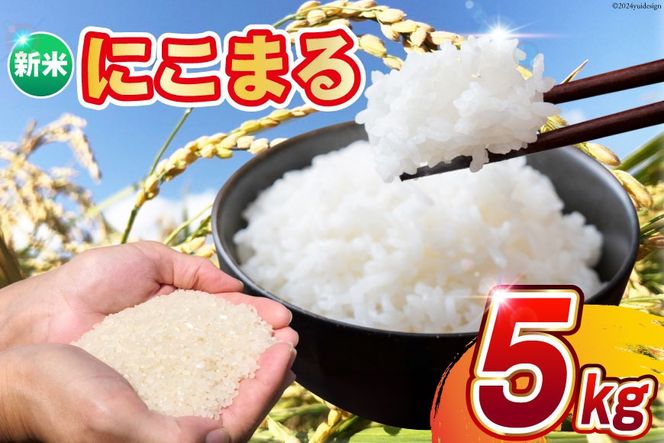 AI242 米 令和6年 新米 にこまる 5kg [ 令和6年産 白米 精米 ごはん ご飯 こめ おこめ もちもち おにぎり 粘り 粘り強め 長崎県産 長崎県産米 長崎にこまる 長崎県 島原市 ]