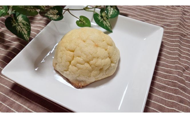 1169.【定期便6ヶ月】鳥取県産 人気菓子パン メロンパン 5個×6回 313726_BD050