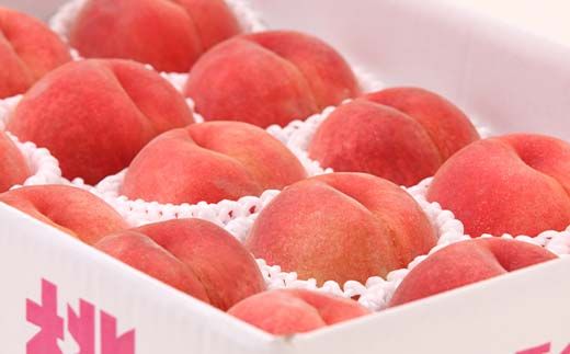 FYN6-115 ≪2026年先行予約≫8月発送 山形県産 品種おまかせ 白桃 約3kg（8～12玉） 秀品 2026年8月上旬から順次発送 桃 もも モモ 果物 くだもの 夏果実 フルーツ 産地直送 山形県 西川町 月山