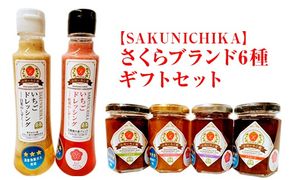 【SAKUNICHIKA】さくらブランド6種ギフトセット｜とちあいか とちおとめ スカイベリー ミルキーベリー 栃木県 さくら市 イチゴ 苺