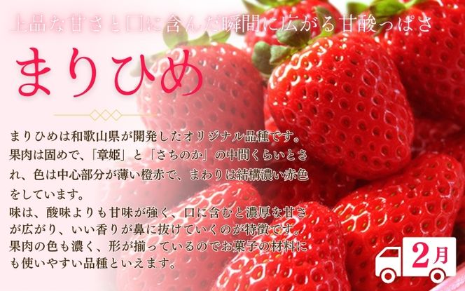 定期便 フルーツ 【全3回】紀州和歌山産 旬のフルーツ定期便（いちご・桃・巨峰） 【tkb400】
