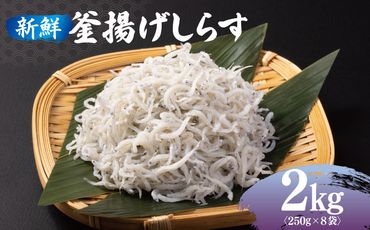 020C361 新鮮 釜揚げしらす 合計 2kg 小分け 250g×8P