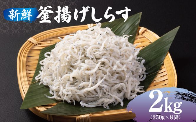 y{򍲖sz099H3840 VN g炷 v 2kg  250g×8P