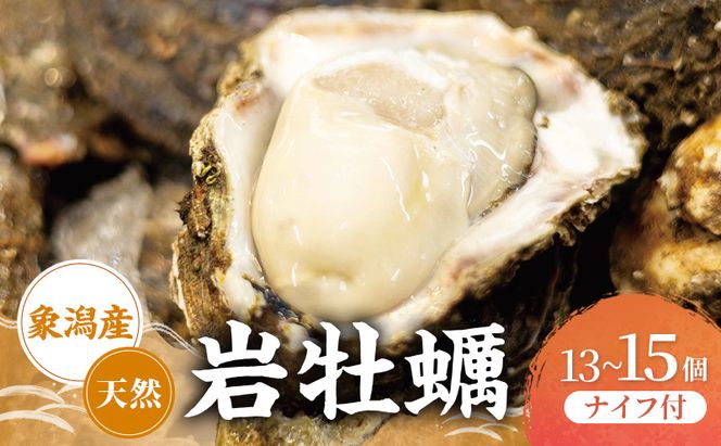 【先行予約 7月上旬～下旬発送予定】象潟産 天然岩牡蠣 13～15個 ナイフ付【牡蠣 夏牡蠣 かき 象潟 生食可 魚介類 海鮮　海産物 海の幸】　
