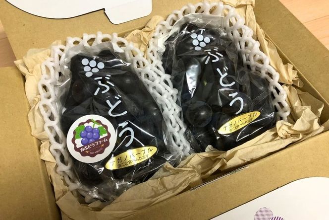 ナガノパープル2房(約1kg) ぶどう ナガノパープル フルーツ 大粒、種なし、皮ごと食べられる黒ぶどう　ナガノパープル