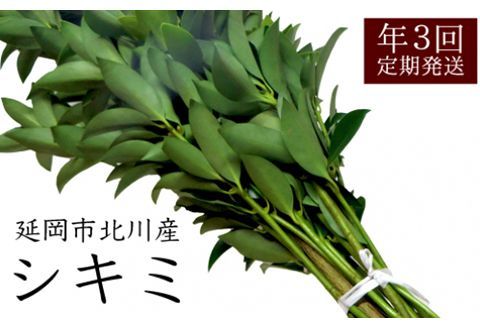 y{茧szskYVL~i80cmxji3E8E12zj N009-YA221