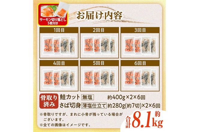 生活応援 サーモン切り落とし5枚付き！【定期便・全6回(連続)】骨取り さば切身と鮭カットのセット(総量約8.1kg) 鮭 小分け 冷凍 サーモン シャケ サケ サバ 鯖 骨なし 骨取り セット 魚 魚介 【AW-108】【丸正水産】