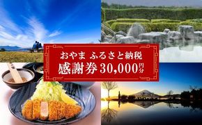 O40おやま ふるさと納税 感謝券 100,000円分（1,000円券×30枚）