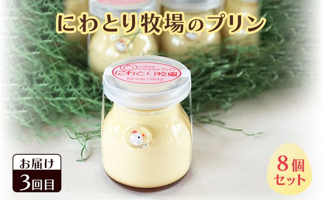 南富良野 こだわりお菓子堪能 定期便 4回［ ポテトチップス ポテチ じゃがいも ジャガイモ お菓子 スナック プリン デザート スイーツ アイス アイスクリーム おやつ 北海道 南富良野 ］