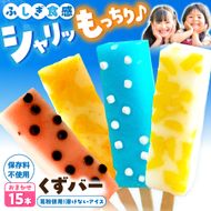 【先行予約】溶けないアイス くずバー 葛バー おまかせ15本セット アイス アイスバー 葛粉 店長おまかせ 柚子 ピーチ ラムネ スイカ 冷たいお菓子 おかし お楽しみ デザート【北代菓子店】 [BQBN003]
