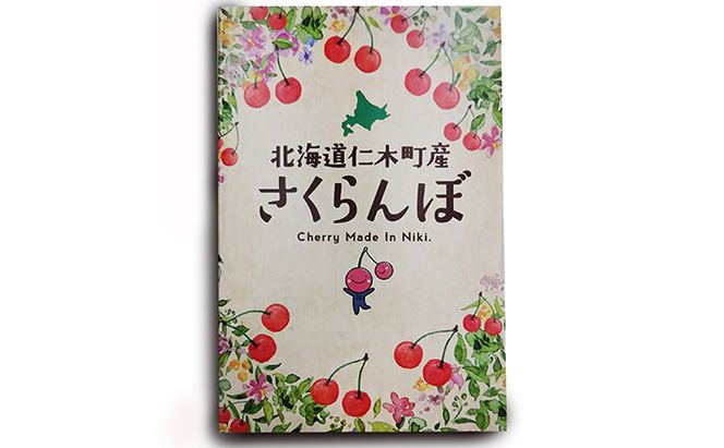 北海道 仁木町産  7月旬 さくらんぼ 600g （300g×2） サクランボ チェリー フルーツ 果物 果物類  仁木町 仁木 [JA新おたる]