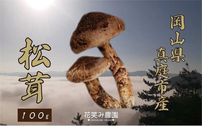 【2027年先行予約】花笑み農園　岡山の『松茸』100g 【hana077-04】