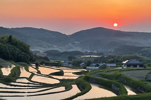 【定期便】淡路島の棚田米　5kg×12回（毎月発送）　精米 白米