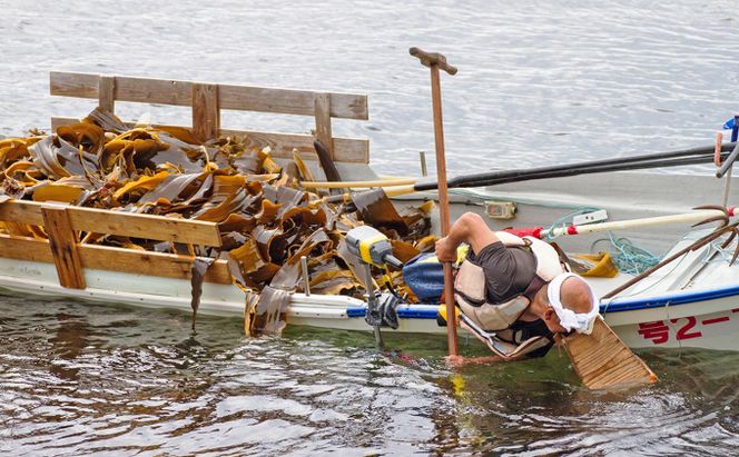 北海道礼文島産天然利尻だし昆布（バラ）1kg 海藻 のり 
