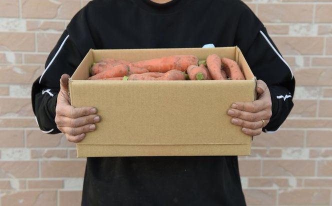 訳あり 規格外 にんじん 約5kg 有機JAS認証取得 栽培期間中農薬 除草剤 化学肥料不使用 野菜 食材 緑黄色野菜 国産野菜 えぐみがない 甘い人参 産地直送 キャロット ベジタブル 