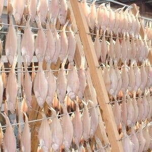 【ふるさと納税】山陰名産エテカレイ一夜干し 6枚 エテカレイ カレイ 鰈 干物 一夜干し 干し物 魚介 海鮮 山陰 国産 冷凍 お取り寄せ【配送不可地域：離島】【1109959】 兵庫県 新温泉町 送料無料