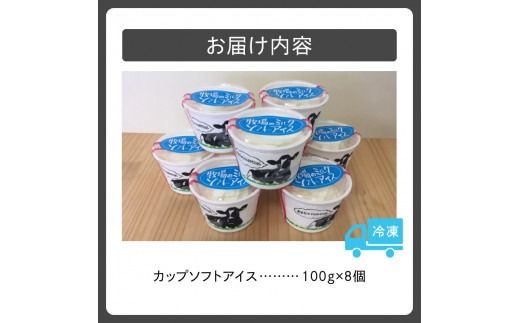 ykCzȂq̃Jbv\tgACXZbg 100g×8_S005-0007