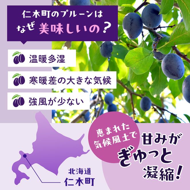 [先行受付/2026年] 仁木町の採れたて「サンプルーン」1kg（500g×2）サイズ混載 北海道 仁木 果物 くだもの フルーツ プルーン 果物詰合せ セット 高糖度 [フルーツショップ妹尾観光農園]