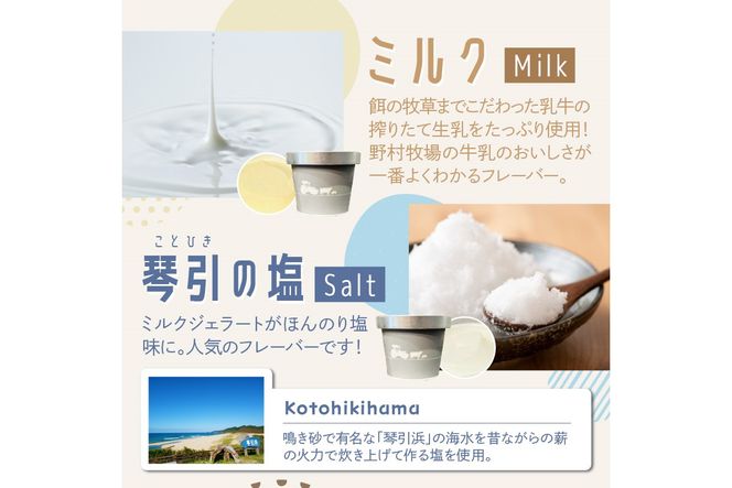 ミルクジェラート食べ比べ3種6個セット 野村牧場 スイーツ デザート ジェラート カップジェラート 牧場 アイス　NM00011