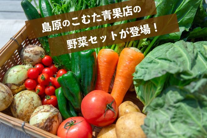 AJ434 【5回定期便】【1～5月限定出荷】こむたの旬の野菜 (8～10品目) おまかせMセット [ 野菜 やさい 旬 定期便 野菜セット 種類 人気 オススメ 新鮮 詰め合わせ 詰合せ こむた 小無田 青果 長崎県 島原市 ]