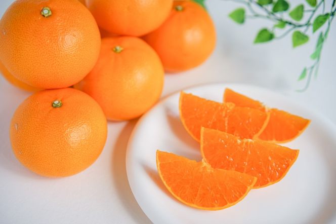 ［2箱セット］ハーフ 化粧箱 柑橘の大トロ ハウス せとか 厳選 5玉入 × 2箱 南泰園	BS151