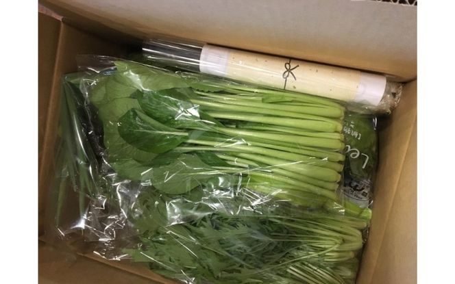 忍びの国の野菜セット（12品以上） mtur0001