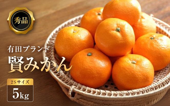 [秀品]有田のブランドみかん「賢みかん」5kg(2Sサイズ)［2026年11月中旬頃より順次発送］ BZ015
