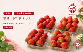 【先行予約】【2027年1月より順次発送】人気のいちご 2品種食べ比べセット【宗像いちごファーム】_HA2067 苺 イチゴ あまおう おいCベリー 福岡県宗像市 宗像市 福岡 宗像