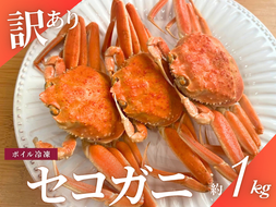 【11月～2月発送】【訳あり】新潟県村上市寝屋漁港産　セコガニ 約1kg（5～10尾入）C4088