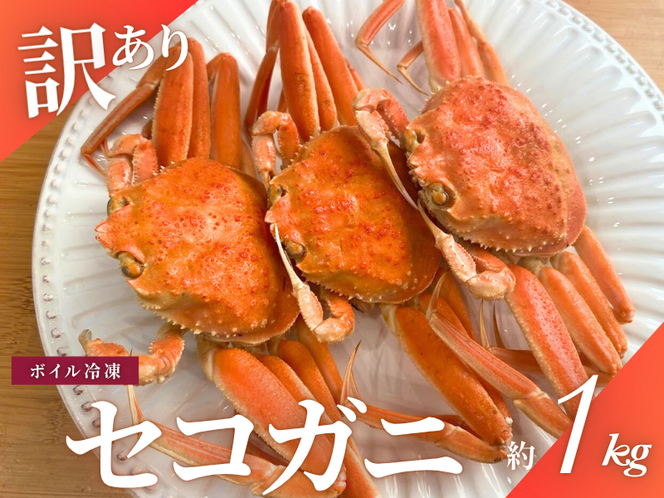 【11月～2月発送】【訳あり】新潟県村上市寝屋漁港産　セコガニ 約1kg（5～10尾入）C4088