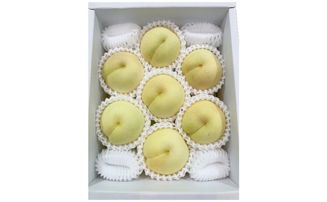 桃 2026年 先行予約 冬桃がたり6～9玉（約1.3kg）化粧箱入り もも モモ 岡山県産 国産 フルーツ 果物 セット ギフト 