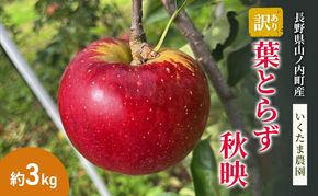 【2026年9月～発送】訳あり 秋映 約3kg リンゴ りんご フルーツ 果物 お取り寄せ 長野県 山ノ内町