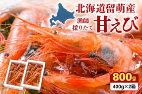 甘エビ 北海道 漁師採りたて 甘えび 400g×2箱 留萌産 あまえび 甘海老 海老 エビ 南蛮エビ つまみ おつまみ ご飯のお供 おかず 海鮮 海産物 海の幸 魚介 魚介類 刺身 お刺身 刺し身 さしみ 天ぷら 冷凍 留萌 