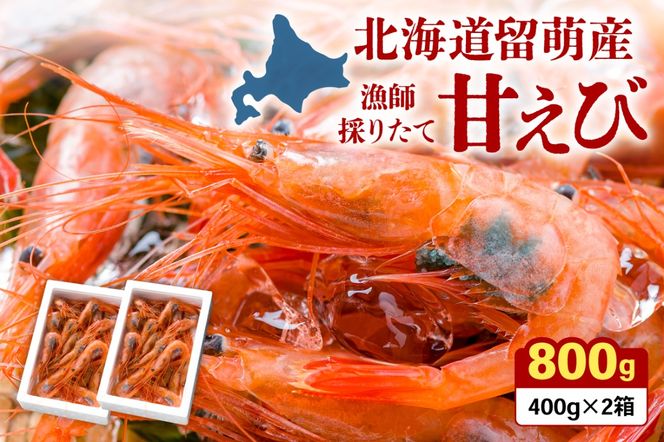 甘エビ 北海道 漁師採りたて 甘えび 400g×2箱 留萌産 あまえび 甘海老 海老 エビ 南蛮エビ つまみ おつまみ ご飯のお供 おかず 海鮮 海産物 海の幸 魚介 魚介類 刺身 お刺身 刺し身 さしみ 天ぷら 冷凍 留萌 