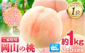 【ふるプレ限定品】＼2027年発送先行予約／桃 岡山の桃 約1kg(3~5玉前後)《2027年6月下旬～9月上旬頃出荷》 ご家庭用 訳あり 白桃 岡山 はくとう スイーツ フルーツ 果物 デザート 旬 モモ もも 先行予約 送料無料 果物 岡山県 笠岡市 清水白桃 白鳳 白麗 クール便---kasaoka_zsy_419_100---
