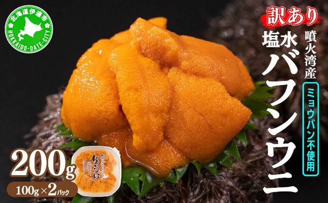 【ふるプレ限定品】訳あり 北海道 噴火湾産 塩水 バフンウニ 100g 2パック 計200g 《アフター保証付き》うに ウニ 雲丹 海鮮 海の幸 魚介類 ウニ丼 お寿司 濃厚 無添加 産地直送 お取り寄せ 山村水産 送料無料 【55250812】