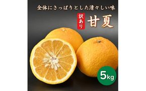 先行予約 訳あり 減農薬 甘夏 5kg 愛南フルーツ サイズミックス サイズ混合 不揃い 柑橘 蜜柑 愛媛 みかん あまなつ 産地 産直 発送期間：2024年2月20日～ 4月20日