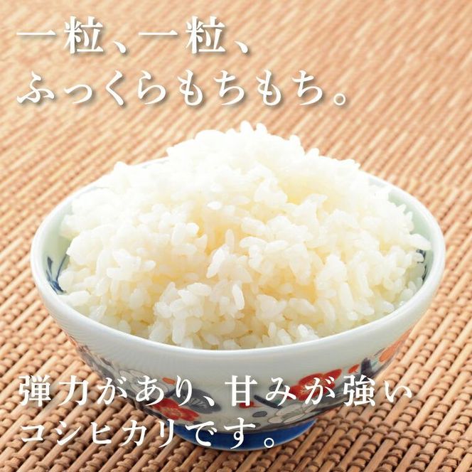 有機栽培米 312011_AM001