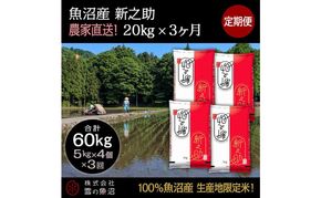 【令和7年産】定期便！魚沼産 新之助【合計60kg】20kg×3回 お米 米 こめ コメ 